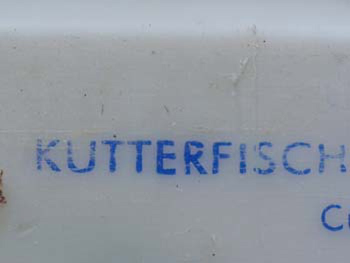 Kutterfisch